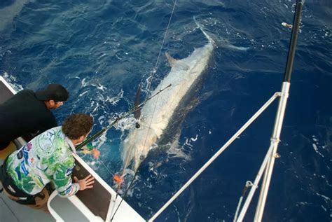 game fishing charters exmouth|Fishing Charters Exmouth Western Australia.